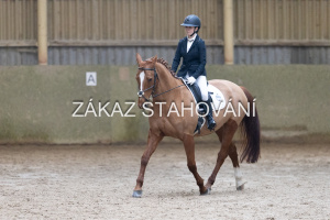 ZH1 hobby (1213).JPG