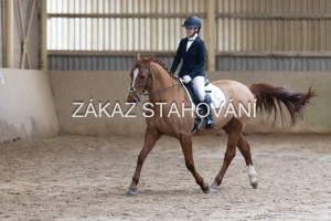 ZH1 hobby (1214).JPG