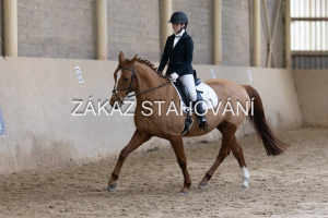 ZH1 hobby (1215).JPG