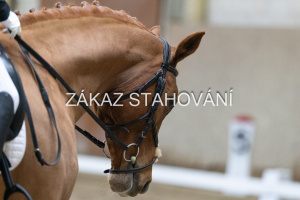 ZH1 hobby (1217).JPG