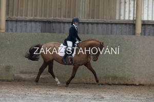 ZH1 hobby (1218).JPG