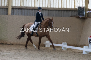 ZH1 hobby (1219).JPG