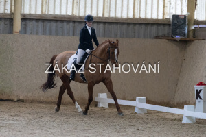 ZH1 hobby (1220).JPG