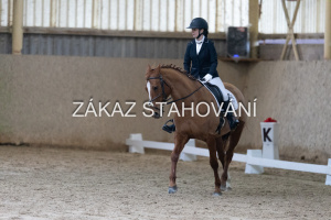 ZH1 hobby (1221).JPG