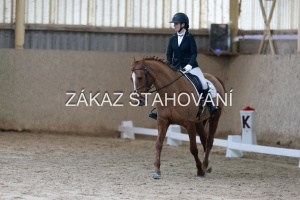 ZH1 hobby (1222).JPG