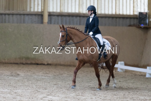 ZH1 hobby (1223).JPG