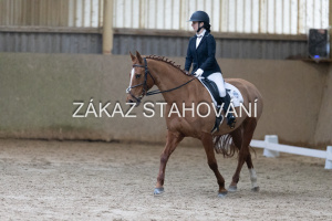 ZH1 hobby (1224).JPG