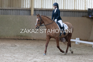 ZH1 hobby (1225).JPG