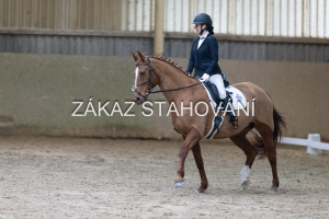 ZH1 hobby (1226).JPG