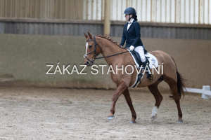 ZH1 hobby (1227).JPG