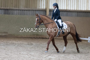 ZH1 hobby (1228).JPG