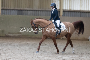 ZH1 hobby (1229).JPG