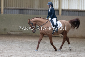 ZH1 hobby (1230).JPG