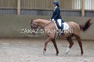 ZH1 hobby (1231).JPG