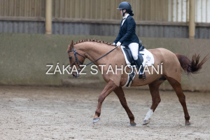 ZH1 hobby (1232).JPG