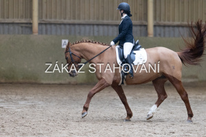 ZH1 hobby (1233).JPG