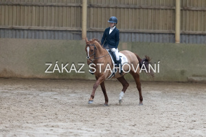 ZH1 hobby (1235).JPG