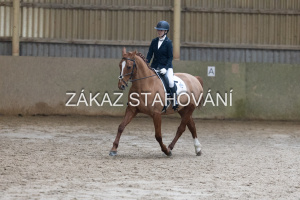 ZH1 hobby (1237).JPG