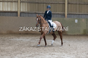 ZH1 hobby (1238).JPG