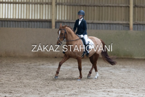 ZH1 hobby (1239).JPG