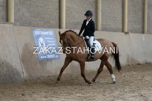 ZH1 hobby (1240).JPG