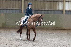 ZH1 hobby (1241).JPG