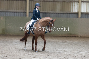 ZH1 hobby (1242).JPG