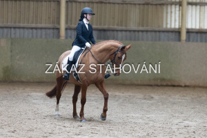 ZH1 hobby (1243).JPG