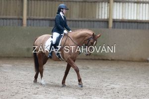 ZH1 hobby (1244).JPG