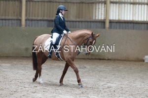 ZH1 hobby (1245).JPG