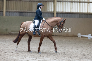 ZH1 hobby (1246).JPG