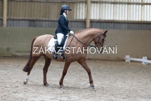 ZH1 hobby (1247).JPG