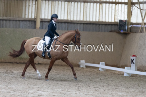 ZH1 hobby (1248).JPG