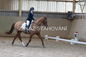 ZH1 hobby (1249).JPG