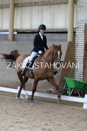 ZH1 hobby (1250).JPG