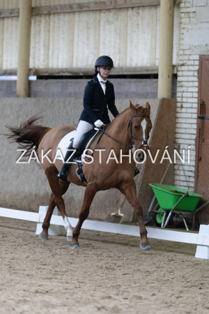 ZH1 hobby (1251).JPG