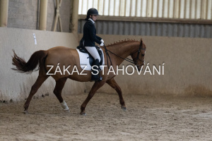 ZH1 hobby (1252).JPG