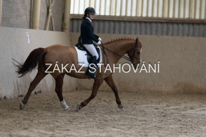 ZH1 hobby (1253).JPG