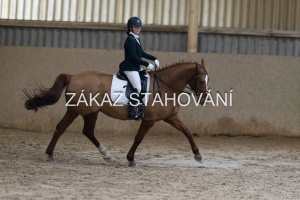 ZH1 hobby (1254).JPG