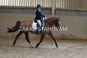 ZH1 hobby (1255).JPG