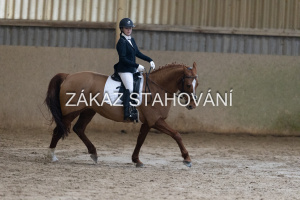 ZH1 hobby (1256).JPG