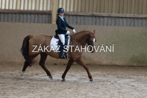 ZH1 hobby (1257).JPG