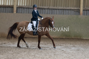 ZH1 hobby (1258).JPG