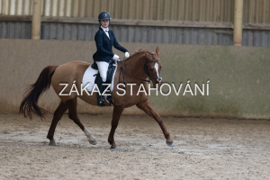 ZH1 hobby (1259).JPG