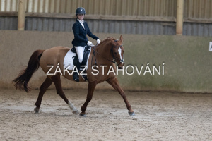 ZH1 hobby (1260).JPG