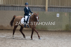 ZH1 hobby (1261).JPG