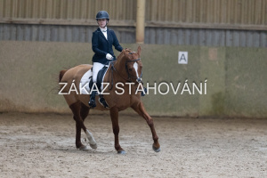 ZH1 hobby (1262).JPG