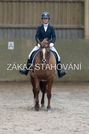 ZH1 hobby (1263).JPG