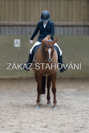 ZH1 hobby (1264).JPG