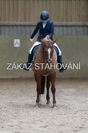 ZH1 hobby (1265).JPG